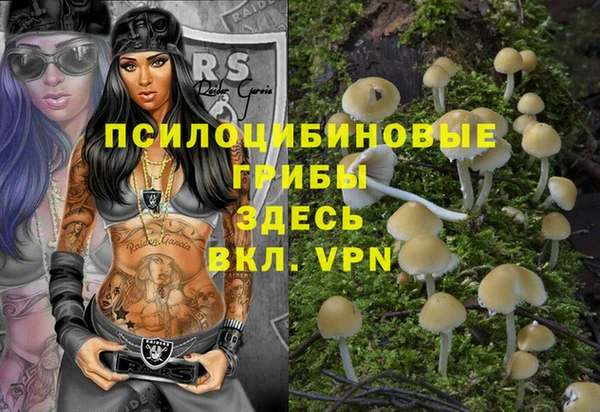 герыч Горнозаводск