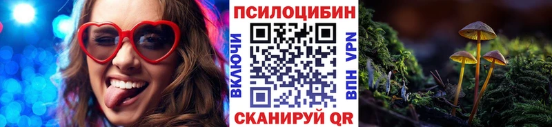 Псилоцибиновые грибы GOLDEN TEACHER  Купить  Павловский Посад 